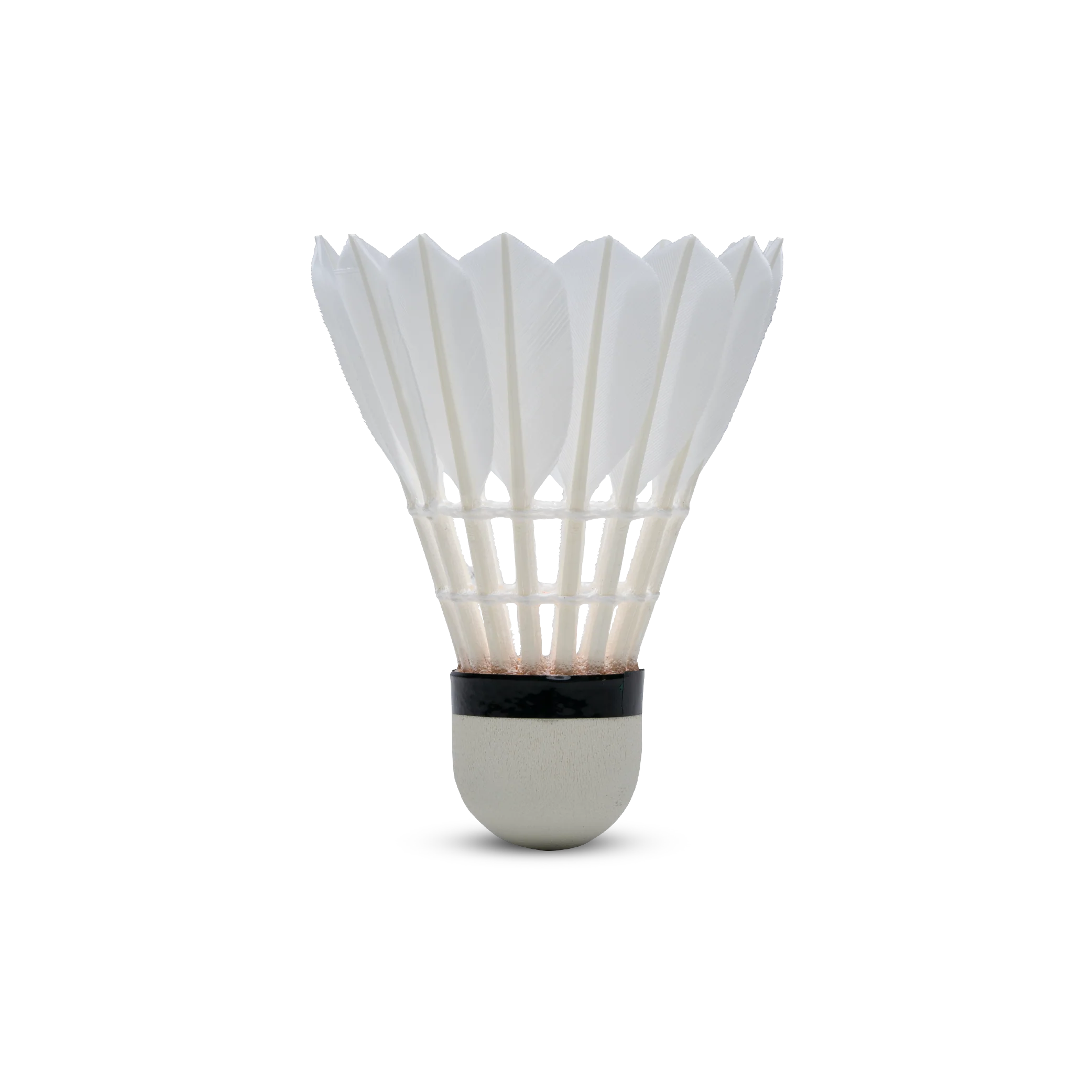 H+100 Feather Shuttlecock - Image 4