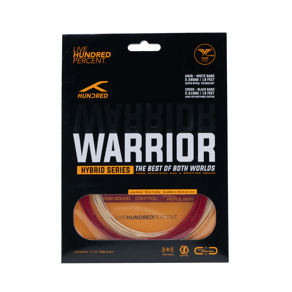 Hybrid Warrior